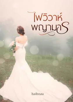 ภาพปกนิยายเรื่อง ไฟวิวาห์พญามาร