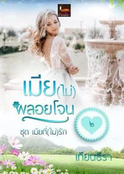 ภาพปกนิยายเรื่อง เมีย(ไม่)พลอยโจน