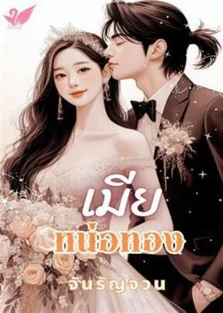 หน้าปกนวนิยาย เมียหน่อทอง2018