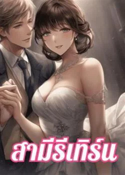 ภาพปกนิยายเรื่อง สามีรีเทิร์น