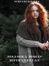 Sampul Novel Disangka miskin diperantauan