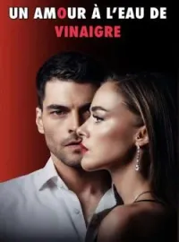 Couverture du roman Un Amour à l'eau de Vinaigre 