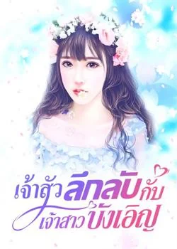 ภาพปกนิยายเรื่อง เจ้าสัวลึกลับกับเจ้าสาวบังเอิญ