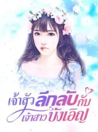 หน้าปกนวนิยาย เจ้าสัวลึกลับกับเจ้าสาวบังเอิญ