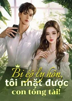 Bìa tiểu thuyết Bị ép ly hôn, tôi nhặt được con tổng tài!