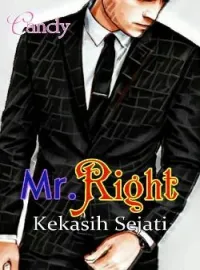 Sampul Novel Mr. Right