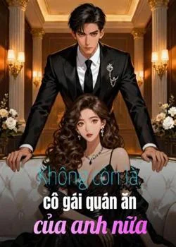 Bìa tiểu thuyết Không còn là cô gái quán ăn của anh nữa