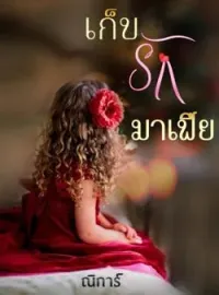 หน้าปกนวนิยาย เก็บรักมาเฟีย