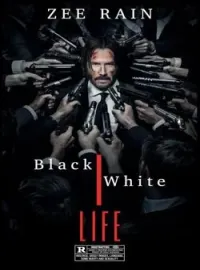 Sampul Novel Black White Life