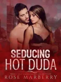 Sampul Novel SEDUCING HOT DUDA