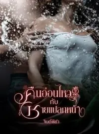 หน้าปกนวนิยาย คืนอ่อนไหวกับชายแปลกหน้า