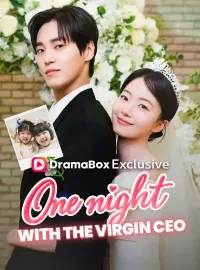 One Night With the Virgin CEO (DUBBED)Mini Series