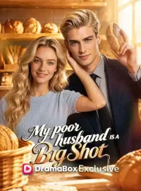 My Poor Husband Is A Big ShotMini Series