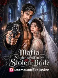 Mafia Single Daddy’s Stolen BrideMini Series