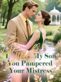 I Buried My Son, You Pampered Your Mistress Novel Cover