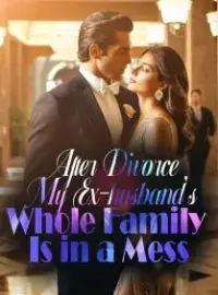 After Divorce, My Ex-husband's Whole Family Is in a Mess Novel Cover