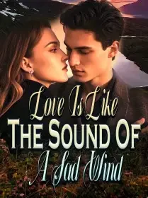 Love Is Like The Sound Of A Sad Wind Novel Cover
