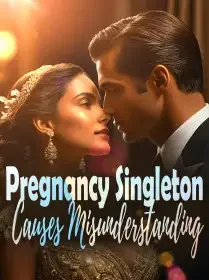 Pregnancy Singleton Causes Misunderstanding Novel Cover