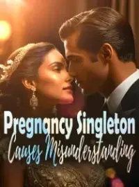 Pregnancy Singleton Causes Misunderstanding Novel Cover