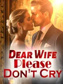 Dear Wife, Please Don't Cry Novel Cover