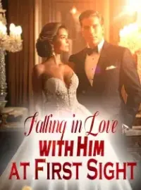 Falling in Love with Him at First Sight Novel Cover