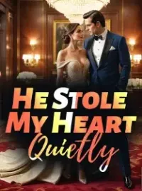 He Stole My Heart Quietly Novel Cover