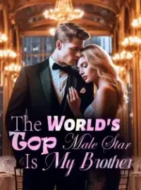 The World's Top Male Star Is My Brother Novel Cover
