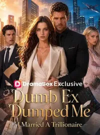 Dumb Ex Dumped Me; I Married A TrillionaireMini Series