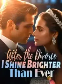 After the Divorce, I Shine Brighter Than Ever Novel Cover