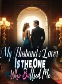 My Husband's Lover Is the One Who Bullied Me Novel Cover