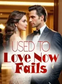 Used to Love, Now Fails Novel Cover