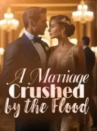 A Marriage Crushed by the Flood Novel Cover