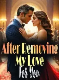 After Removing My Love For You Novel Cover