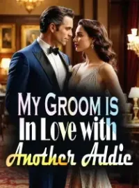 My Groom is In Love with Another Addie Novel Cover