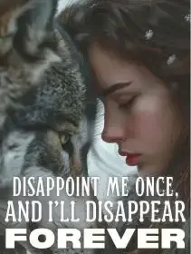 Disappoint Me Once, and I'll Disappear Forever Novel Cover