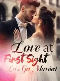 Love at First Sight, Let’s Get Married! Novel Cover