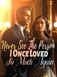 Never See The Person I Once Loved So Much Again Novel Cover