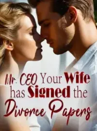 Mr. CEO, Your Wife has Signed the Divorce Papers! Novel Cover
