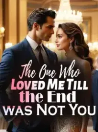 The One Who Loved Me Till the End was Not You Novel Cover