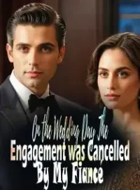 On the Wedding Day, The Engagement was Cancelled By My Fiancé Novel Cover