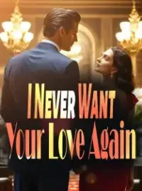 I Never Want Your Love Again Novel Cover