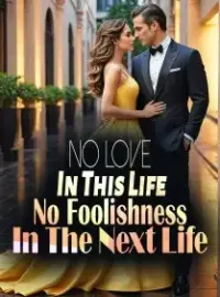 No Love In This Life, No Foolishness In The Next Life Novel Cover