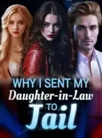 Why I Sent My Daughter-in-Law to Jail Novel Cover