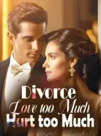 Divorce: Love too Much, Hurt too Much Novel Cover