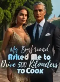 My Boyfriend Asked Me to Drive 500 Kilometers to Cook Novel Cover