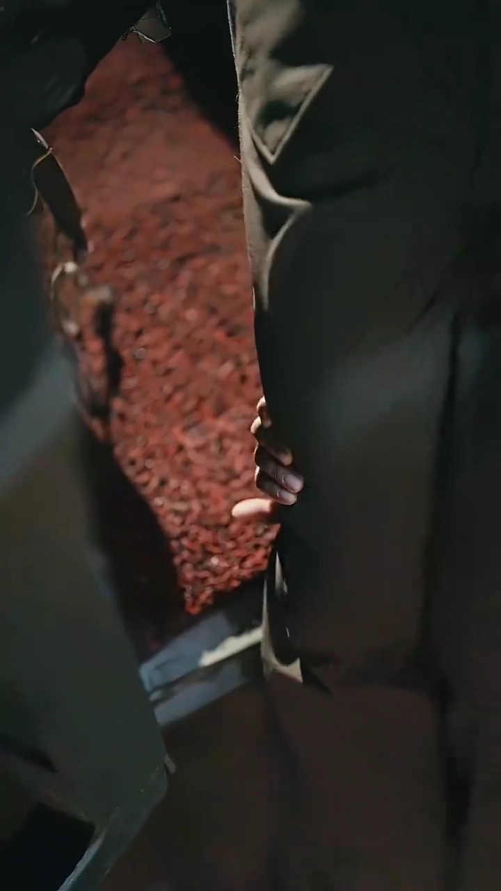 My New Life In TownPhoto