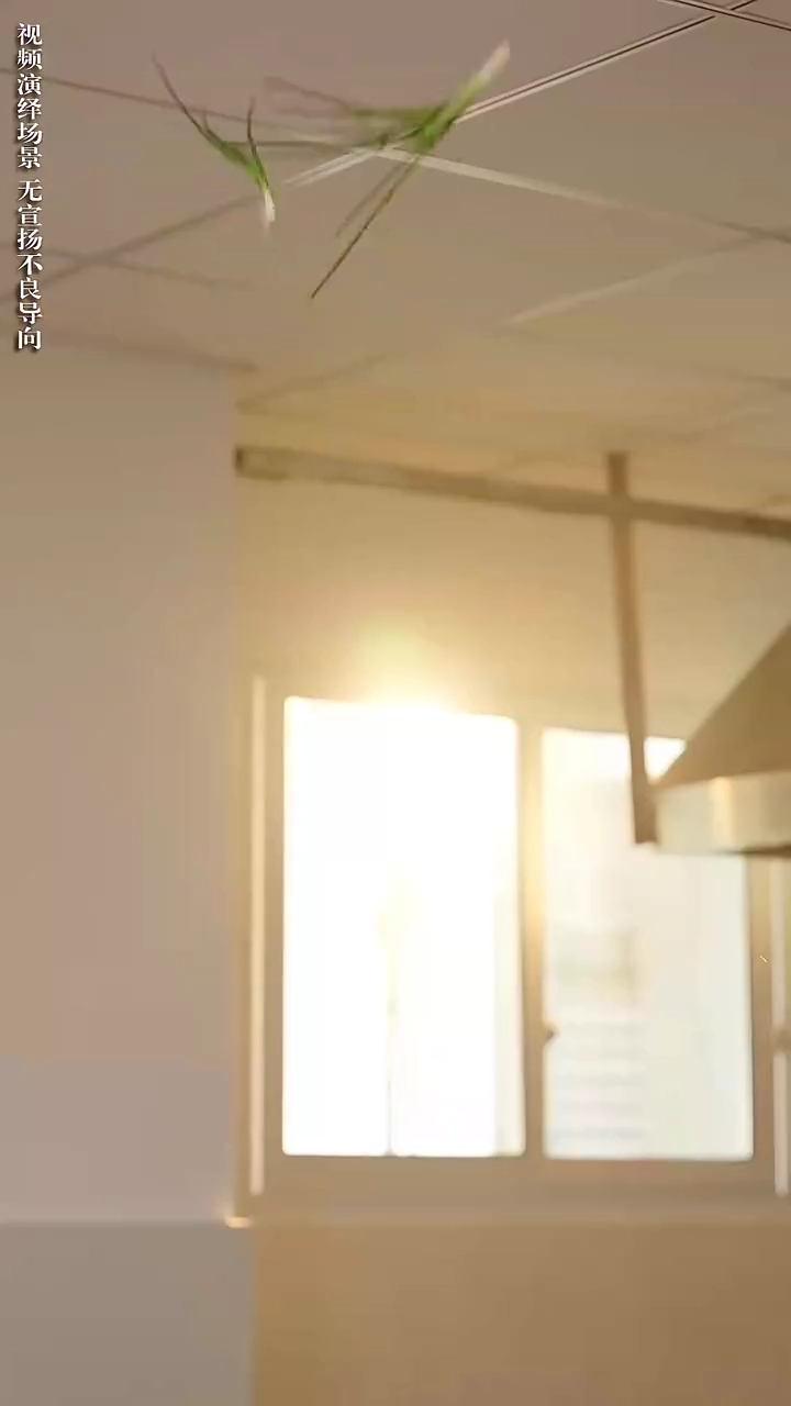 Savior In A WokPhoto