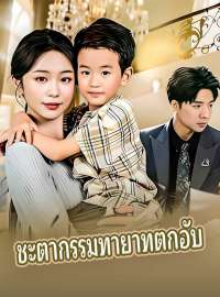 ชะตากรรมทายาทตกอับซีรีส์สั้น
