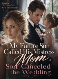 My Future Son Called His Mistress Mom, So I Canceled the Wedding Novel Cover