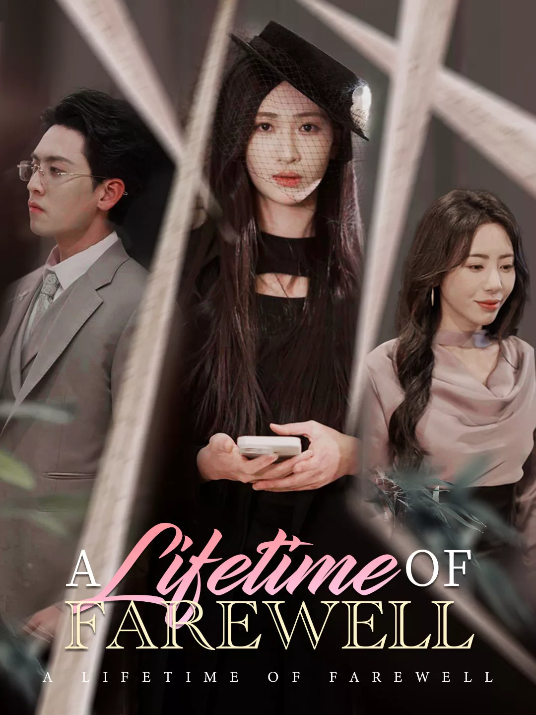 A Lifetime of Farewell Mini Series